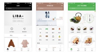 什么是小程序定制 挑選開發公司時都要注意什么