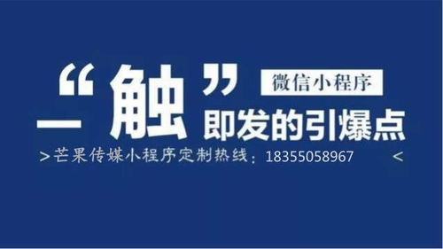 自帶流量的小程序定制開發,助力企業提高市場競爭力